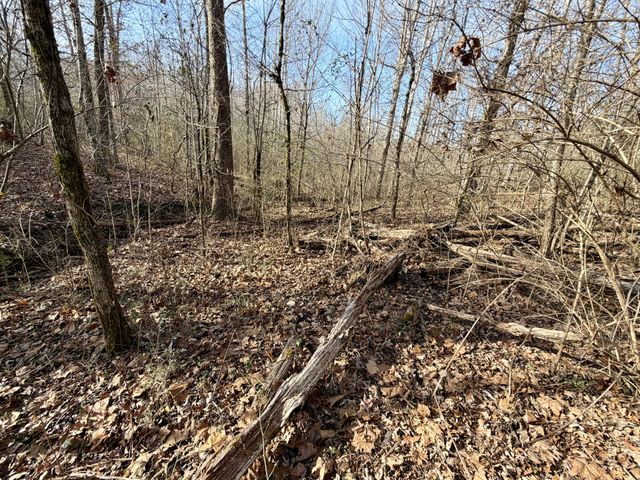 10555 New Cut Off Rd, Bon Aqua, TN 37025