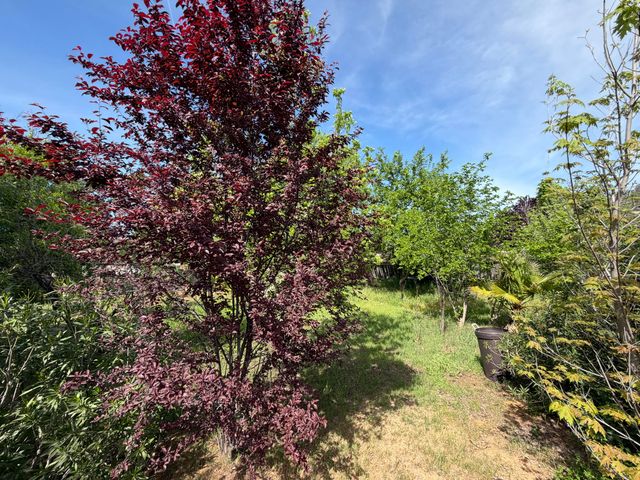 3856 Westgate Avenue, Redding, CA 96001