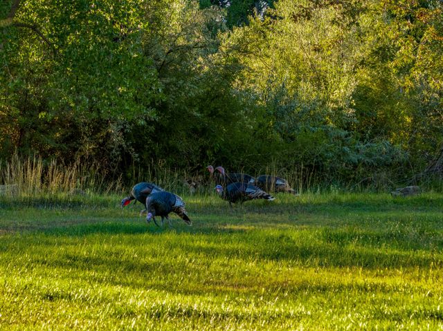 7 Road 2473, Aztec, NM 87410