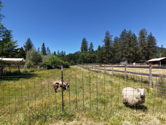 335 Sheraton Drive, Williams, OR 97544