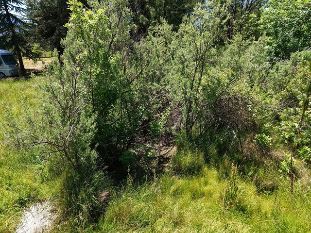 335 Sheraton Drive, Williams, OR 97544