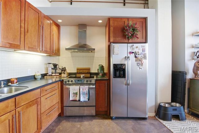 1720 Chouteau Avenue 201, St Louis, MO 63103