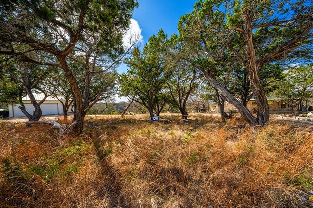 125 Turkey Trot, Hunt, TX 78024