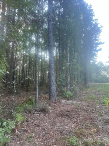 TBD-B2 La Hwy 10, Clinton, LA 70722