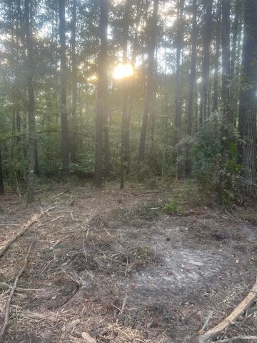 TBD-B2 La Hwy 10, Clinton, LA 70722