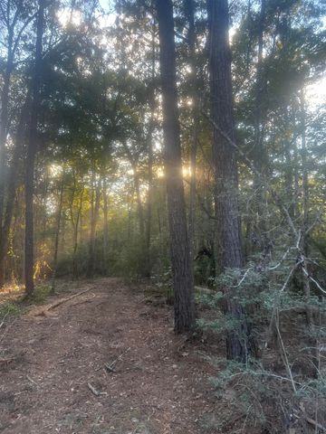 TBD-B2 La Hwy 10, Clinton, LA 70722