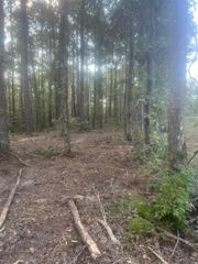 TBD-B2 La Hwy 10, Clinton, LA 70722