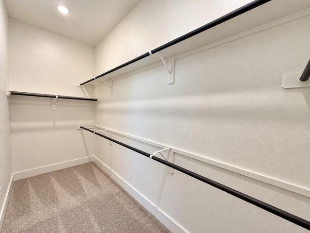 3615 Blue Mistflower Drive, Katy, TX 77493