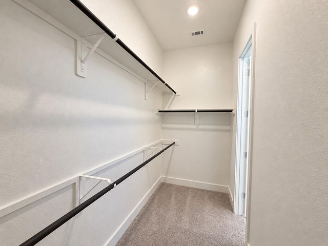 3615 Blue Mistflower Drive, Katy, TX 77493