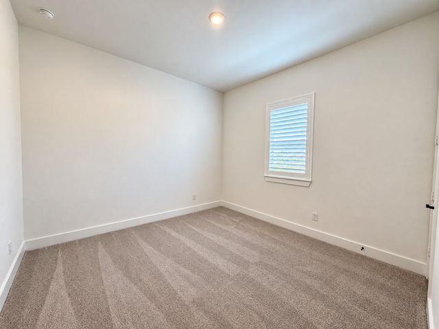 3615 Blue Mistflower Drive, Katy, TX 77493