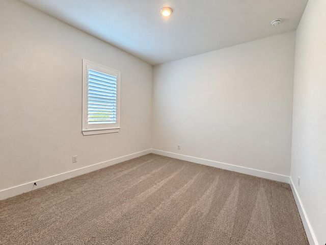 3615 Blue Mistflower Drive, Katy, TX 77493
