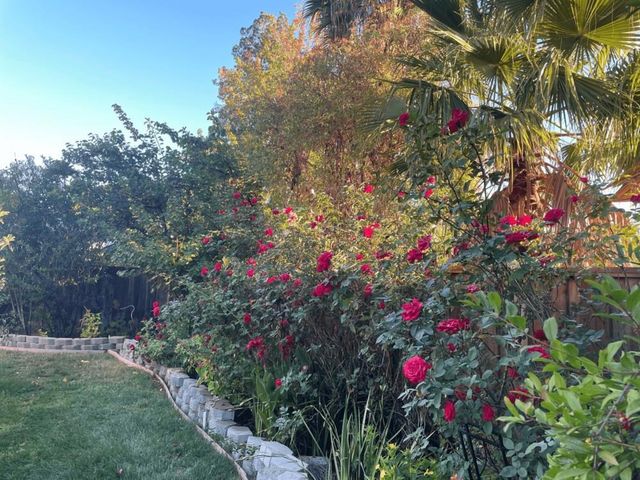 6270 Tweedholm Court, San Jose, CA 95120