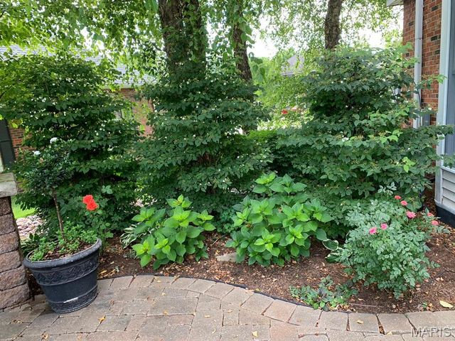 52 Birdie Court, Edwardsville, IL 62025