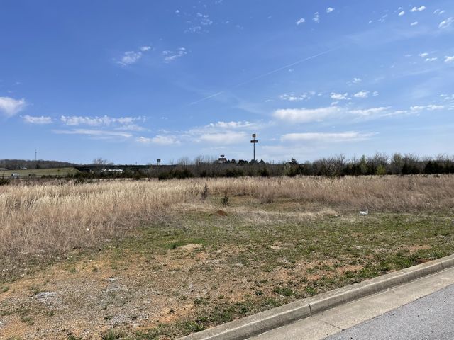 112 Capital Way, Christiana, TN 37037