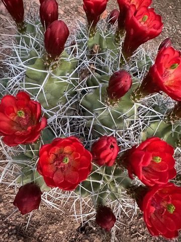 3881 Old Santa Fe Trail, Santa Fe, NM 87505