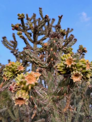 3881 Old Santa Fe Trail, Santa Fe, NM 87505