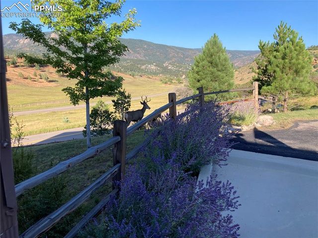 4540 Echo Cliff Lane, Larkspur, CO 80118