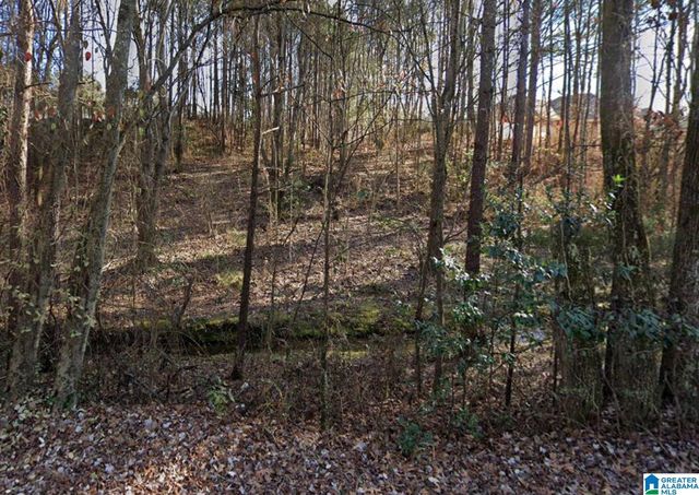 4541 MAGNOLIA RIDGE DRIVE, Gardendale, AL 35071