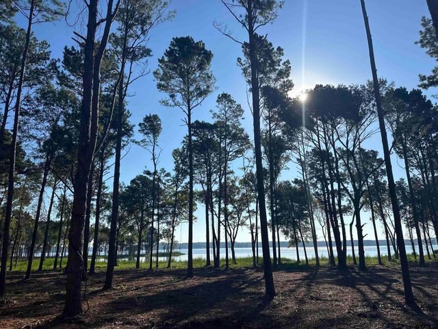Lot 26 Oak River, Frankston, TX 75763