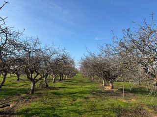 1 Rd 28 1/2, Madera, CA 93638