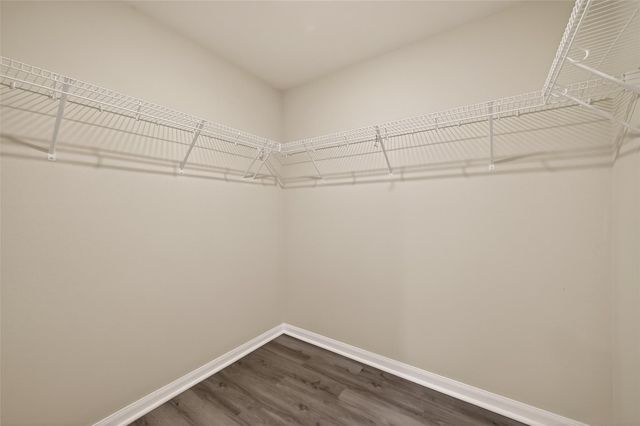 20611 Bauer Moonlight Drive, Hockley, TX 77447