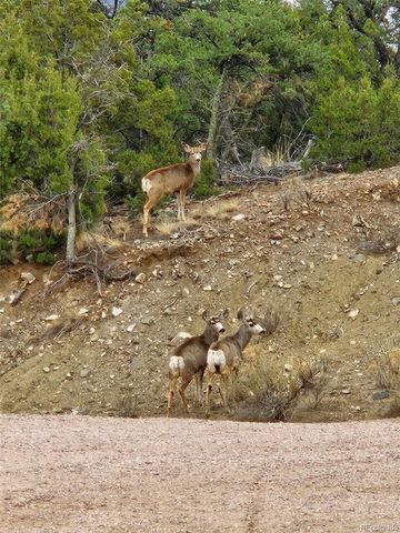 490 Cactus Drive, Canon City, CO 81212