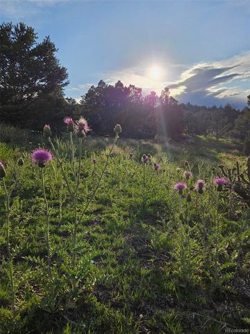 490 Cactus Drive, Canon City, CO 81212