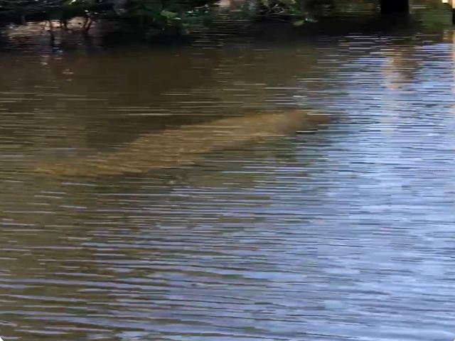 2136 ARKANSAS AVENUE, Englewood, FL 34224