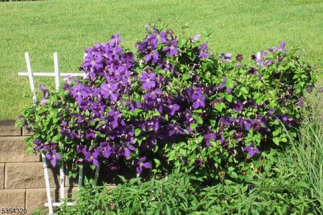 37 Gregory Ave, West Orange Twp., NJ 07052