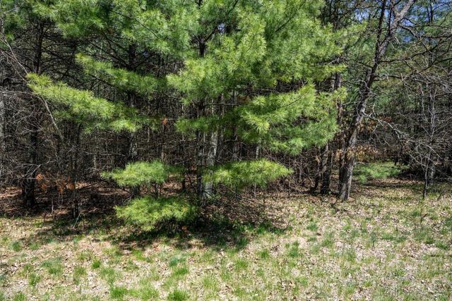 Lot 39 S Badger Lane, Arkdale, WI 54613