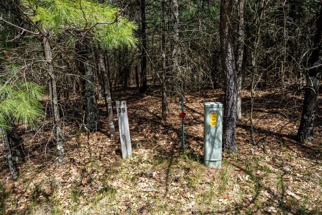 Lot 39 S Badger Lane, Arkdale, WI 54613