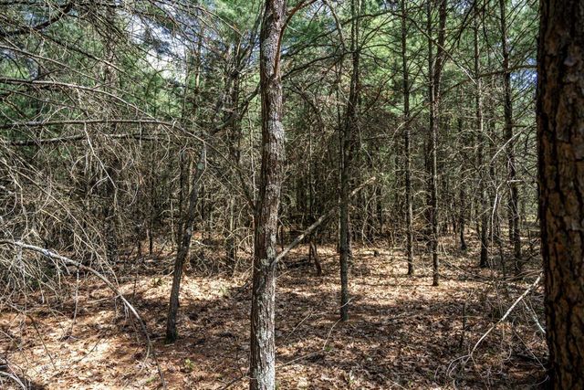 Lot 39 S Badger Lane, Arkdale, WI 54613