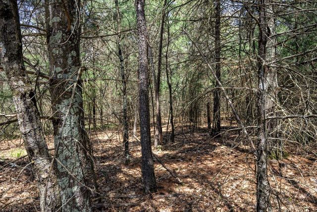 Lot 39 S Badger Lane, Arkdale, WI 54613