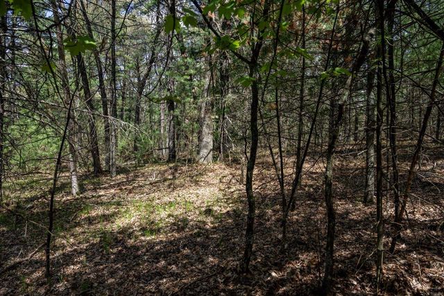 Lot 39 S Badger Lane, Arkdale, WI 54613
