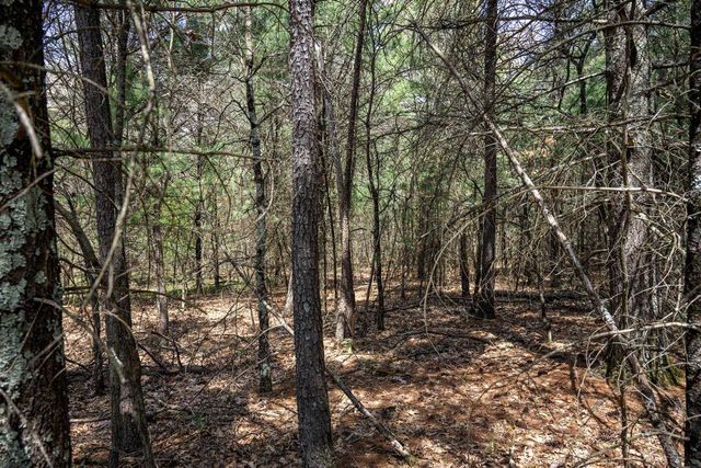 Lot 39 S Badger Lane, Arkdale, WI 54613