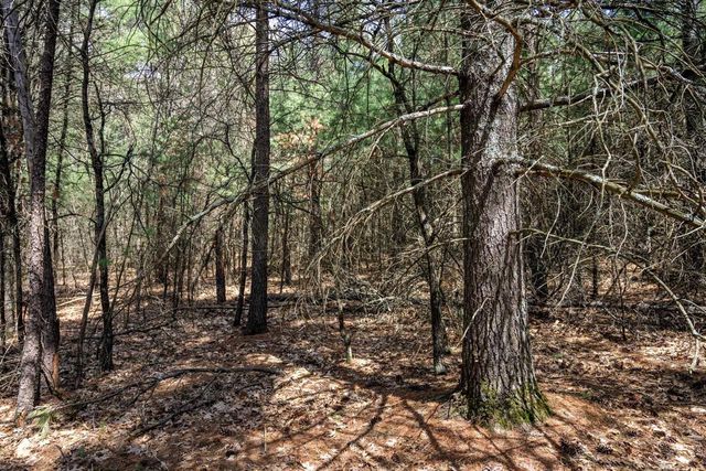Lot 39 S Badger Lane, Arkdale, WI 54613