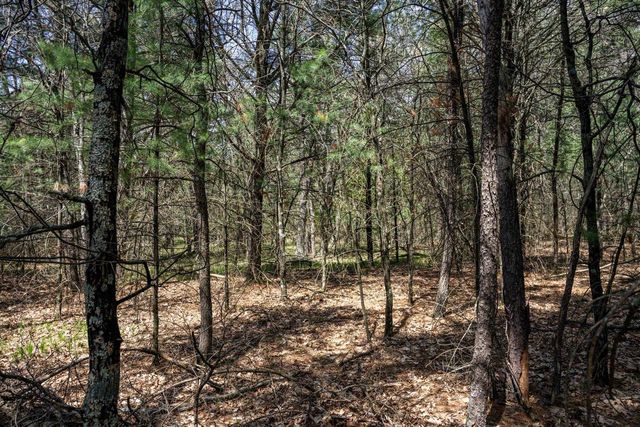 Lot 39 S Badger Lane, Arkdale, WI 54613