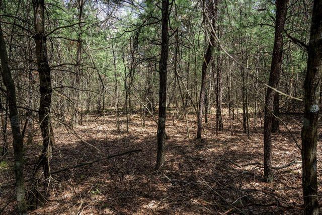 Lot 39 S Badger Lane, Arkdale, WI 54613