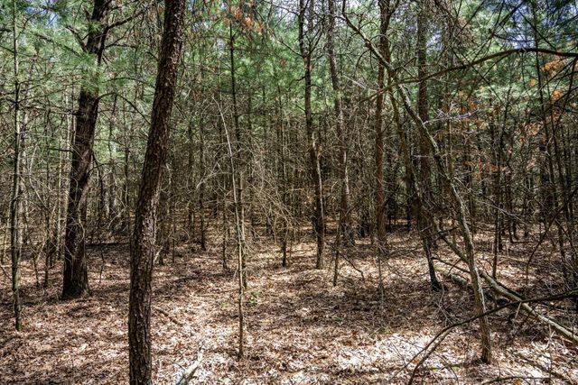 Lot 39 S Badger Lane, Arkdale, WI 54613