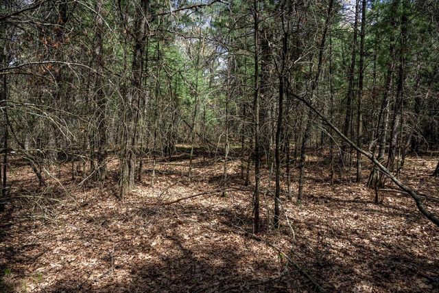 Lot 39 S Badger Lane, Arkdale, WI 54613