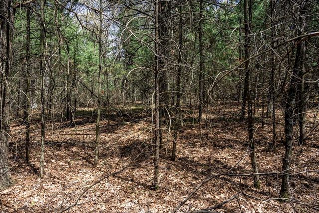 Lot 39 S Badger Lane, Arkdale, WI 54613