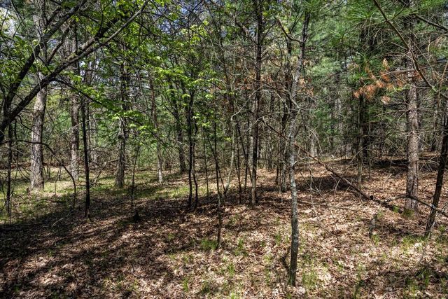Lot 39 S Badger Lane, Arkdale, WI 54613