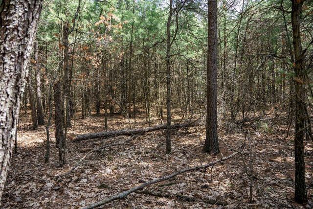 Lot 39 S Badger Lane, Arkdale, WI 54613