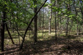 Lot 39 S Badger Lane, Arkdale, WI 54613