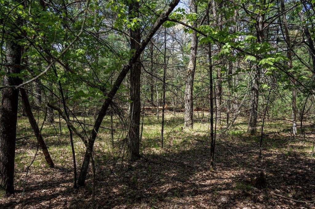Lot 39 S Badger Lane, Arkdale, WI 54613