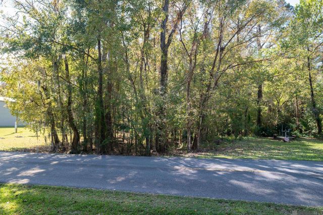 13304 Bayou Terrace Dr, St Amant, LA 70774