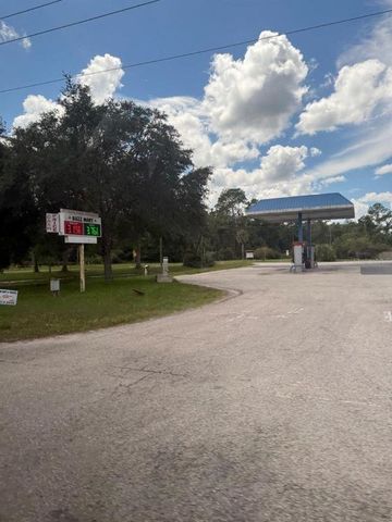 10345 Gregory Ave, Hastings, FL 32145