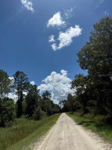 10345 Gregory Ave, Hastings, FL 32145