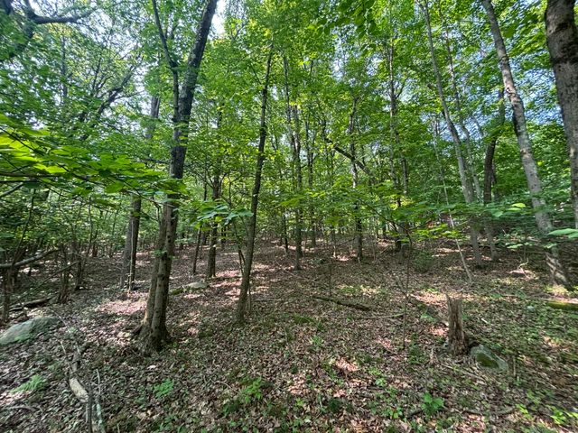 44 Cheshire Road, Prospect, CT 06712