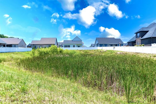3002 Stonehorn Dr, Bell Buckle, TN 37020